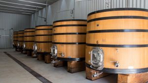 Celler-GallinasFocas-3-300x169