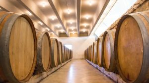 Celler-GallinasFocas-9-300x169